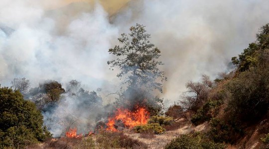 Mỹ: Los Angeles “gồng mình” trước vụ cháy rừng lịch sử - Ảnh 1.
