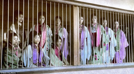 Ám ảnh những góc khuất của các kỹ nữ Nhật Bản xưa - Ảnh 2.