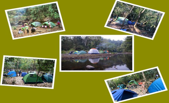 Cắm trại giữa rừng