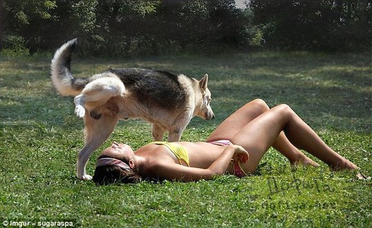 
Thật thảm họa, cô gái trẻ đang phơi nắng đã bị phá bĩnh bởi chú chó cực kỳ đáng ghét này.

 

