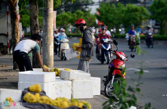 
Những người bán quả phật thủ trên đường Cộng Hòa, quận Tân Bình đón khách mua khi hàng vẫn còn nhiều.
