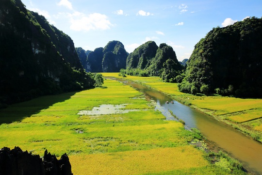 Ngỡ ngàng mùa lúa chín như tranh vẽ ở Tam Cốc - Ảnh 14.