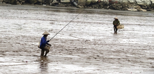 
Nghề câu cá lác phụ thuộc vào thời tiết và thuỷ triều. Hôm nào may mắn, ông Bẩy có thể câu được 3 đến 4 kg cá; giá cá lác tại thị trường Hải Phòng khoảng 250.000 đồng mỗi kg.
