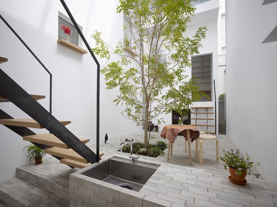 Tạo vườn trong nhà: Xu hướng thiết kế nhà đang hot - Ảnh 7.