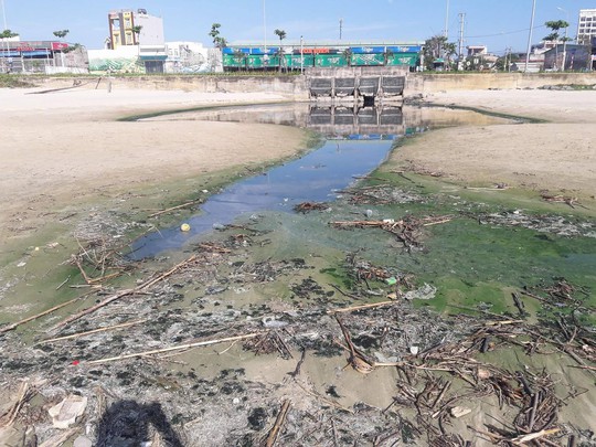 Đà Nẵng: Hơn 30 tấn rác tấp vào bãi biển gây ô nhiễm nặng - Ảnh 3.