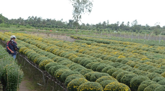 
Những tay săn ảnh cừ khôi ở Làng hoa Sa Đéc
