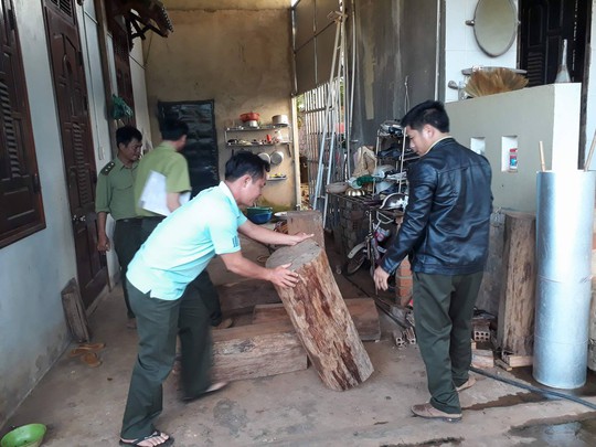 Chỉ đạo làm rõ vụ gỗ thông đỏ trong nhà trưởng ban quản lý rừng - Ảnh 3. Chỉ đạo làm rõ vụ gỗ thông đỏ trong nhà trưởng ban quản lý rừng - Ảnh 3.