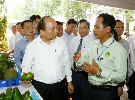 
Thủ tướng tìm hiểu mô hình sản xuất nông nghiệp tại Trung tâm Nông nghiệp công nghệ cao tỉnh Bình Phước Ảnh: TTXVN
