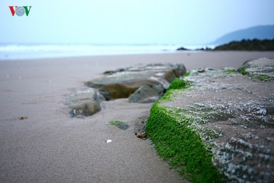 Ngắm vẻ đẹp của bãi biển hoang sơ dưới chân đèo Ngang - Ảnh 12.