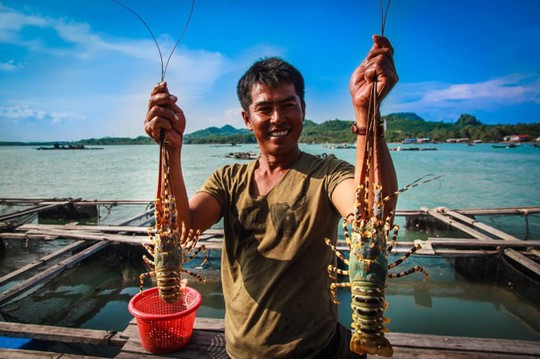 Trúng đậm tôm hùm - Ảnh 1.