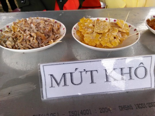  Chùm ảnh: Độc đáo ngày hội quất cảnh Hội An - Ảnh 9.