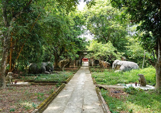 Thành nhà Hồ đệ nhị bị lãng quên, 52 tỉ đồng trùng tu vẫn nằm trên giấy - Ảnh 2.