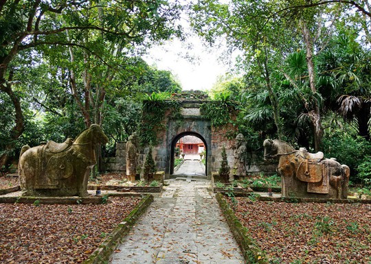 Thành nhà Hồ đệ nhị bị lãng quên, 52 tỉ đồng trùng tu vẫn nằm trên giấy - Ảnh 1.