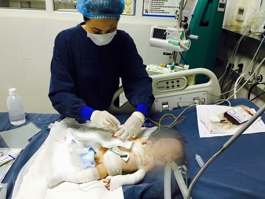 Cô tiên của trẻ EB - Ảnh 1.