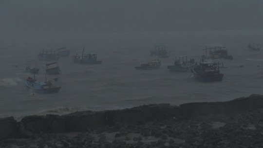 Bão số 9 đã vào Bà Rịa - Vũng Tàu, mưa rất to, cây ngã đổ, tàu chìm - Ảnh 5.