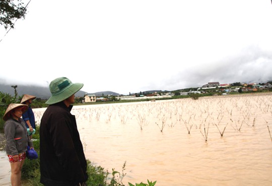 Mưa lớn cô lập nhiều nơi ở Khánh Hòa, Ninh Thuận và Lâm Đồng - Ảnh 9.