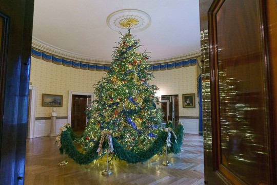 Bà Trump bị chỉ trích vì những cây thông Giáng sinh đỏ rực trong Nhà Trắng - Ảnh 4.