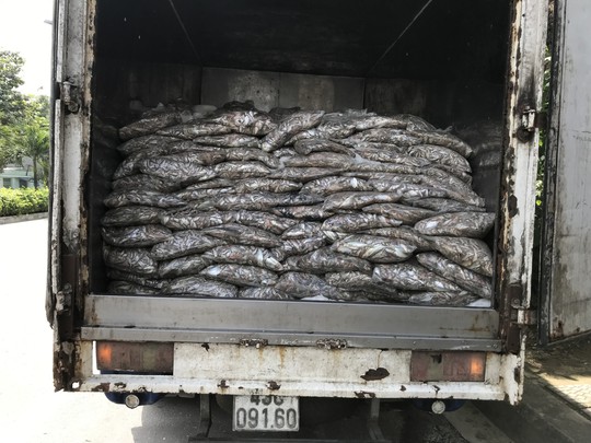 Bắt xe tải vận chuyển 3,5 tấn cá thối - Ảnh 2.