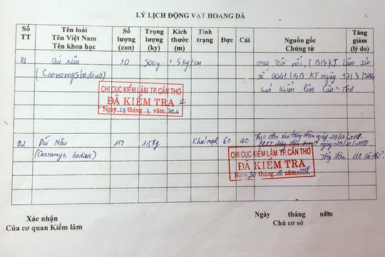 Lấy tre nuôi dúi, “bỏ túi” 30 triệu đồng/tháng - Ảnh 8.