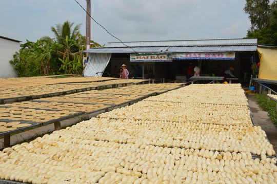 Bí quyết thơm ngon của làng chuối khô 100 năm tuổi ở Cà Mau - Ảnh 4. Bí quyết thơm ngon của làng chuối khô 100 năm tuổi ở Cà Mau - Ảnh 4.