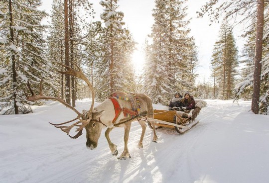 Tới Phần Lan, thăm ngôi làng quê hương chính thức của ông già Noel - Ảnh 12.