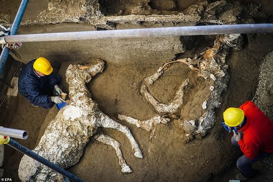Bí ẩn ngựa đá từng có sự sống trong hầm mộ 2.000 năm - Ảnh 1.
