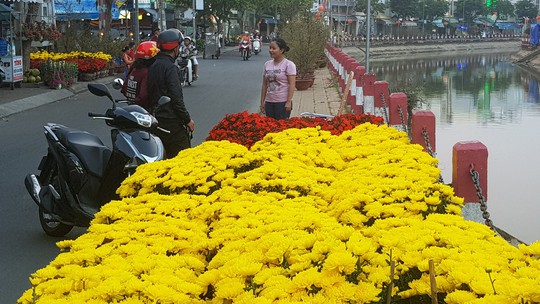 Nông dân ĐBSCL trúng đậm mùa Tết - Ảnh 1.
