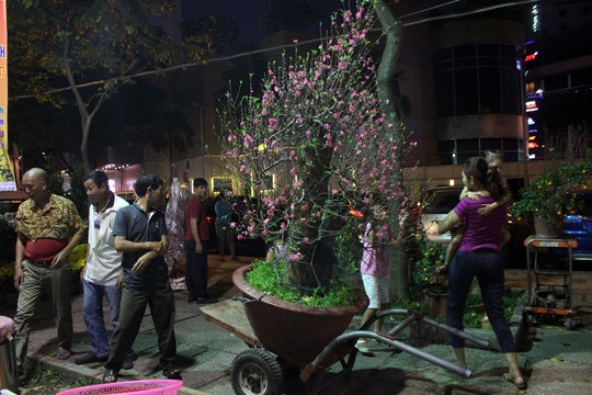 Người Sài Gòn rộn ràng tham quan chợ hoa trong đêm - Ảnh 2.