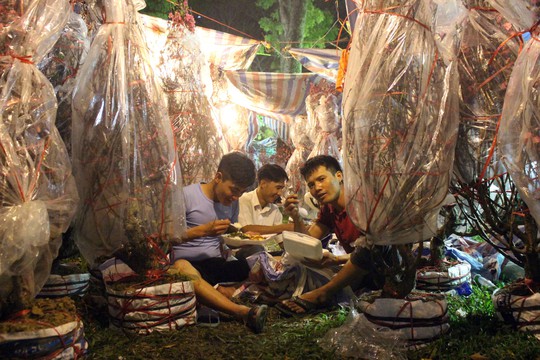 Người Sài Gòn rộn ràng tham quan chợ hoa trong đêm - Ảnh 14.