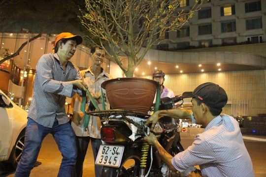 Người Sài Gòn rộn ràng tham quan chợ hoa trong đêm - Ảnh 13.