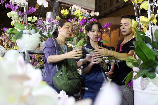 Người Sài Gòn rộn ràng tham quan chợ hoa trong đêm - Ảnh 6.