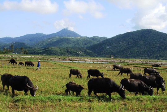 Lên đỉnh đầu năm - Ảnh 4.