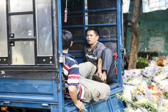 Hoa Tết dội chợ, chất như núi ở chợ hoa sỉ Đầm Sen, TP HCM - Ảnh 4.