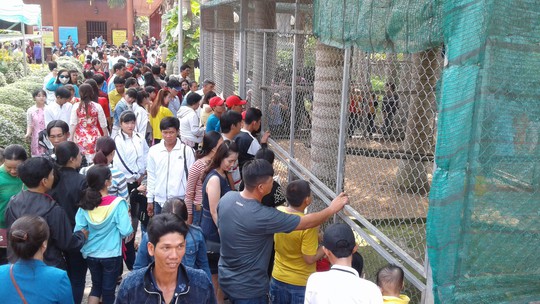 Mướt mồ hôi ở ngôi chùa lớn nhất miền Tây ngày mùng 1 Tết - Ảnh 24.