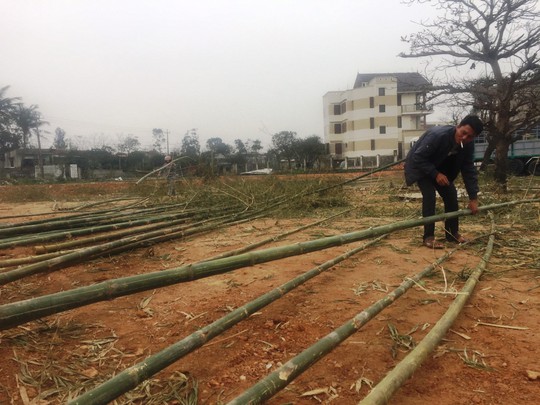 Độc đáo chợ bán cây nêu ngày Tết - Ảnh 4.