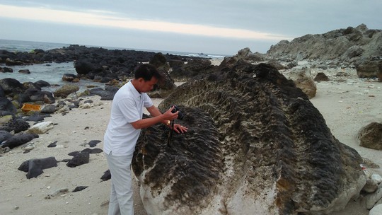 Ngắm khu nghĩa địa san hô hóa thạch 6 ngàn năm tuổi trên đảo Lý Sơn - Ảnh 4.