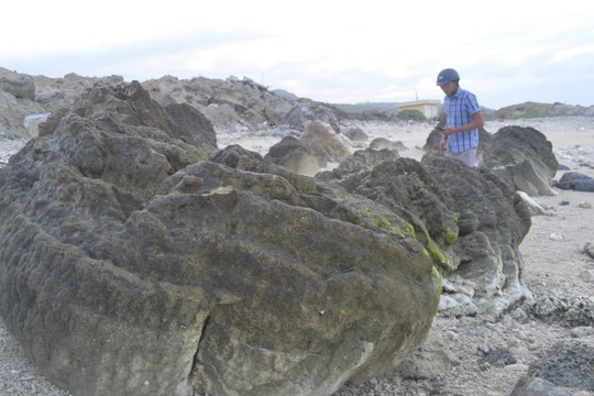 Ngắm khu nghĩa địa san hô hóa thạch 6 ngàn năm tuổi trên đảo Lý Sơn - Ảnh 6.