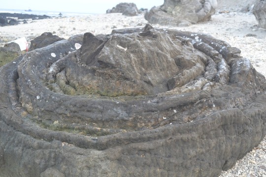 Ngắm khu nghĩa địa san hô hóa thạch 6 ngàn năm tuổi trên đảo Lý Sơn - Ảnh 7.