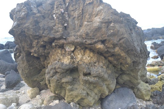 Ngắm khu nghĩa địa san hô hóa thạch 6 ngàn năm tuổi trên đảo Lý Sơn - Ảnh 9.