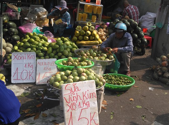 Trái vú sữa rộ mùa, rớt giá gần một nửa trước Tết - Ảnh 1.