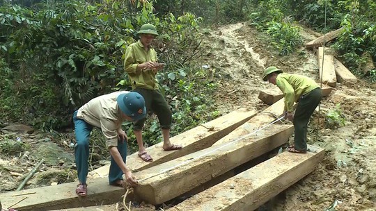Phát hiện vụ xẻ thịt rừng phòng hộ lớn nhất tỉnh Quảng Bình - Ảnh 5.