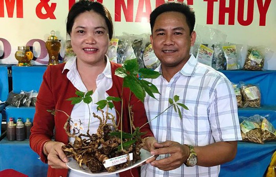 Củ sâm Ngọc Linh giá 540 triệu đồng đã có người mua - Ảnh 2. Củ sâm Ngọc Linh giá 540 triệu đồng đã có người mua - Ảnh 2.