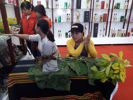 Củ sâm Ngọc Linh giá 540 triệu đồng đã có người mua - Ảnh 3. Củ sâm Ngọc Linh giá 540 triệu đồng đã có người mua - Ảnh 3.