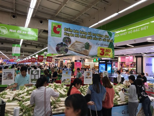 Hàng loạt siêu thị tham gia giải cứu củ cải, su hào - Ảnh 1.