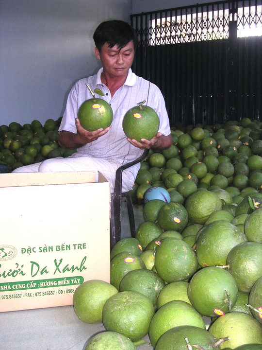 Bưởi da xanh, dừa xiêm xanh Bến Tre được cấp giấy đăng ký chỉ dẫn địa lý - Ảnh 1.