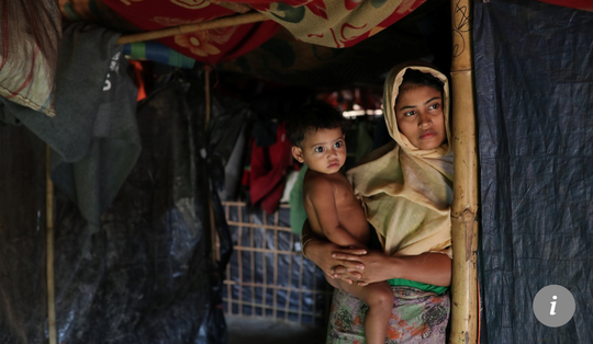 Đi kiếm thức ăn, voi giết chết 10 người tị nạn Rohingya - Ảnh 2.