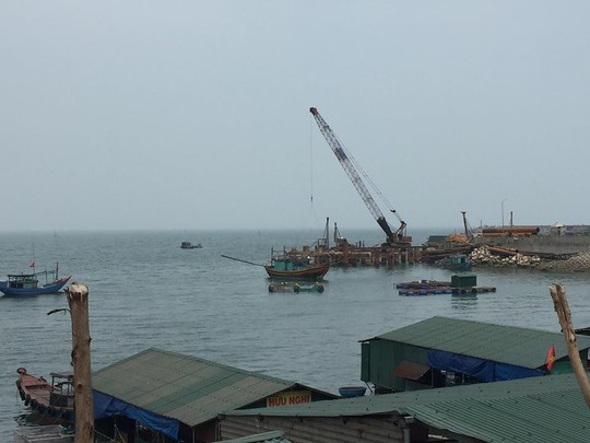 Cá, mực trong bè nổi ở khu vực cảng Vũng Áng chết bất thường - Ảnh 3.