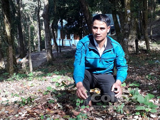 Căng thẳng săn chuột quý tộc ở Kon Tum - Ảnh 2.