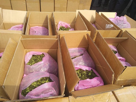 Phát hiện 2,5 tấn ma túy cực độc tại cảng Hải Phòng - Ảnh 2.