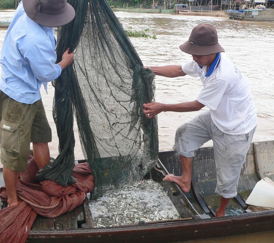 Thêm mối nguy đe dọa hạ nguồn Mê Kông - Ảnh 1. Thêm mối nguy đe dọa hạ nguồn Mê Kông - Ảnh 1.